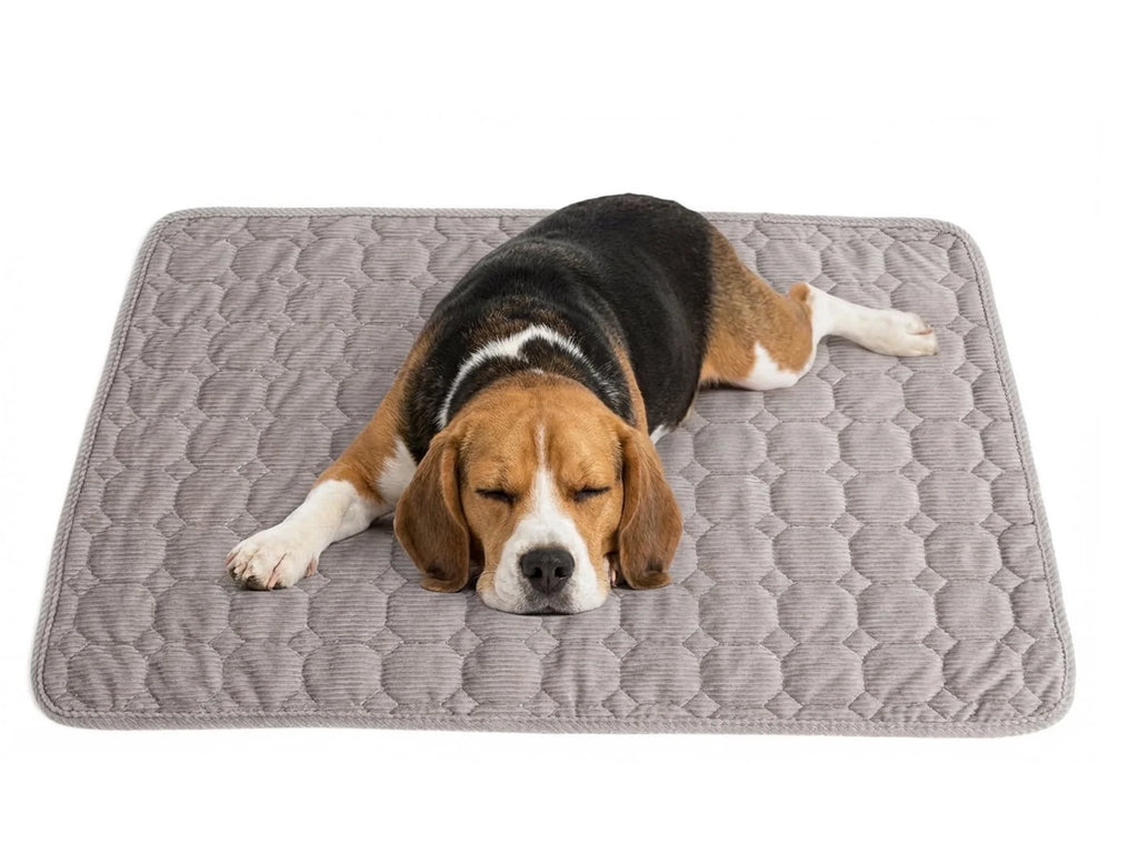Extra Large Dog Crate Mat,48 X 36 Inch Dog Kennel Mat with Anti-Slip Bottom, Washable Soft Corduroy Dog Mat with Three-Dimensional Texture and Durable Fine Hemming